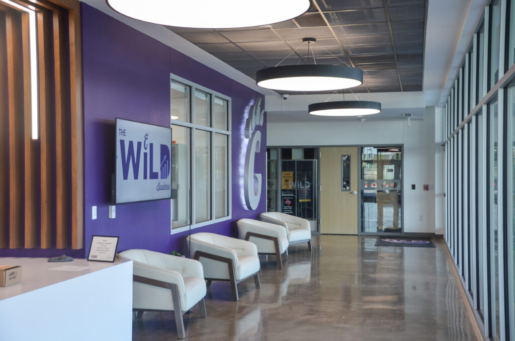Wildcat CTE